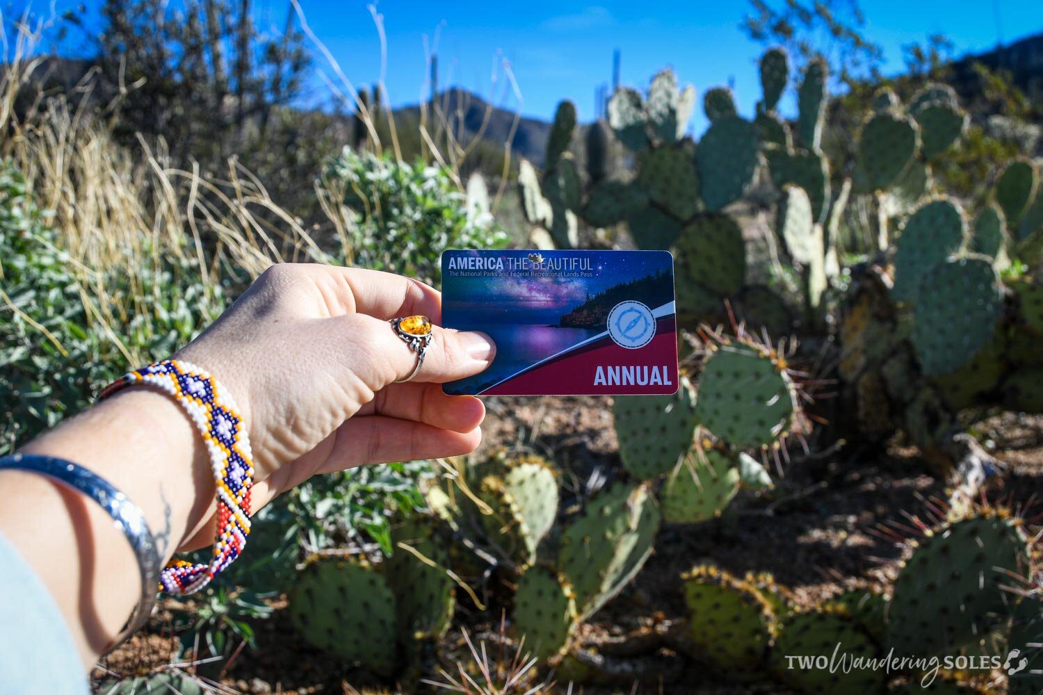 Things to Do in Tucson Saguaro National Park