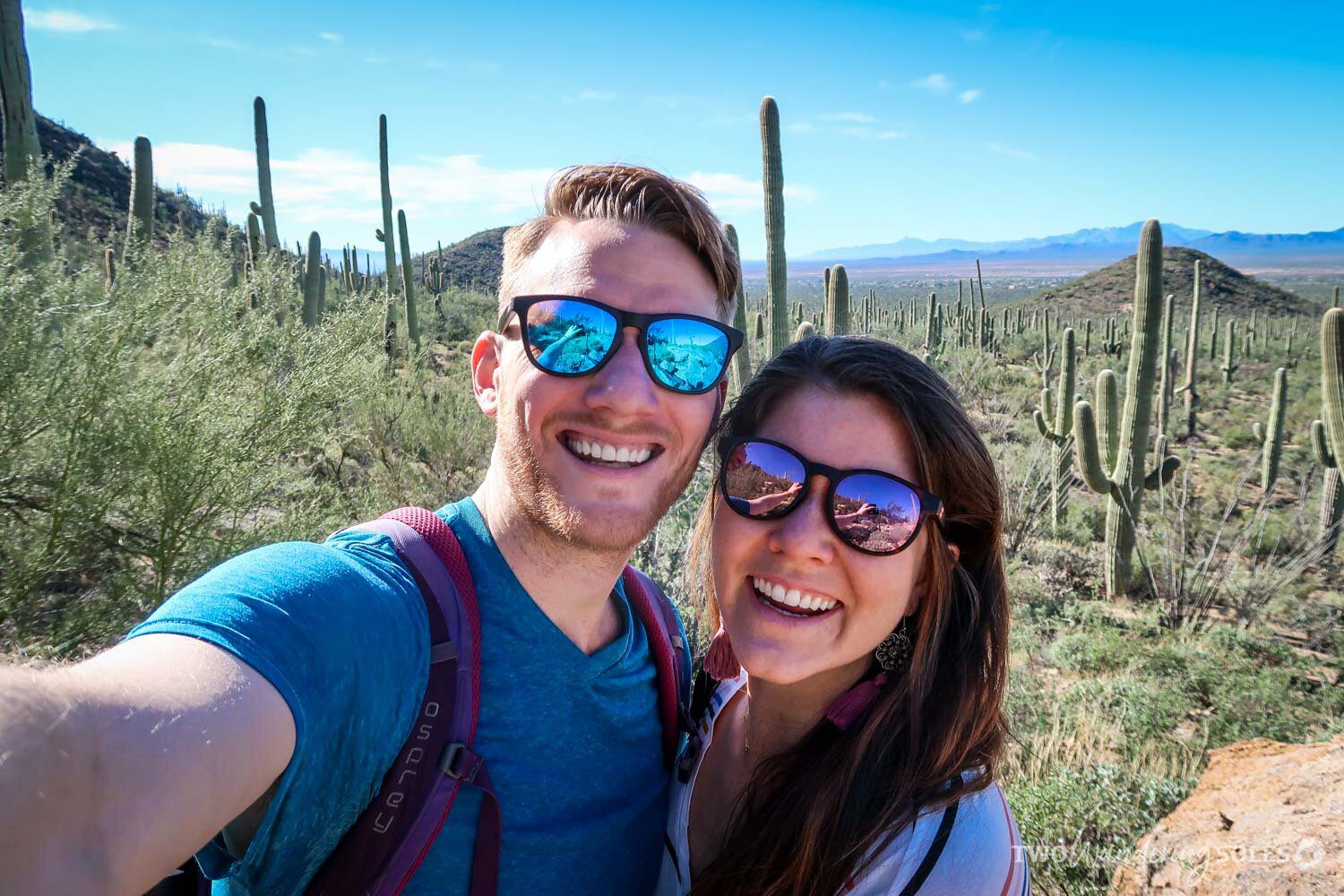 Things to Do in Tucson Saguaro National Park