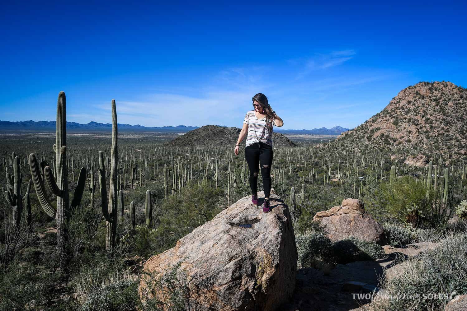 38 Fun Things to Do in Tucson, Arizona Two Wandering Soles