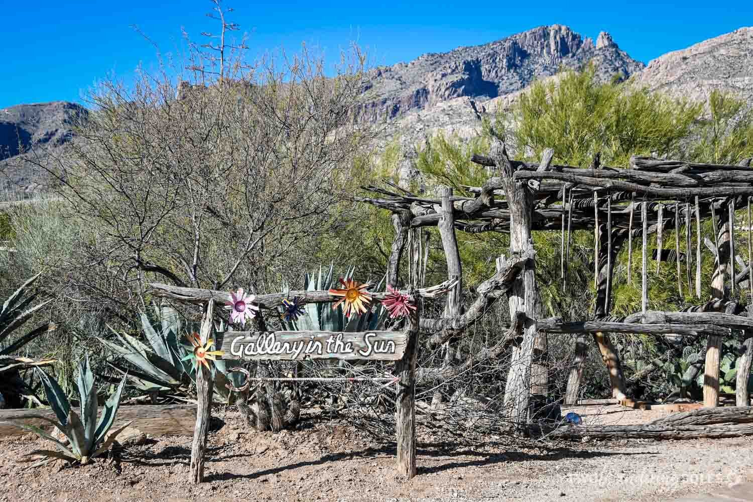 Things to do in Tucson Gallery in the Sun