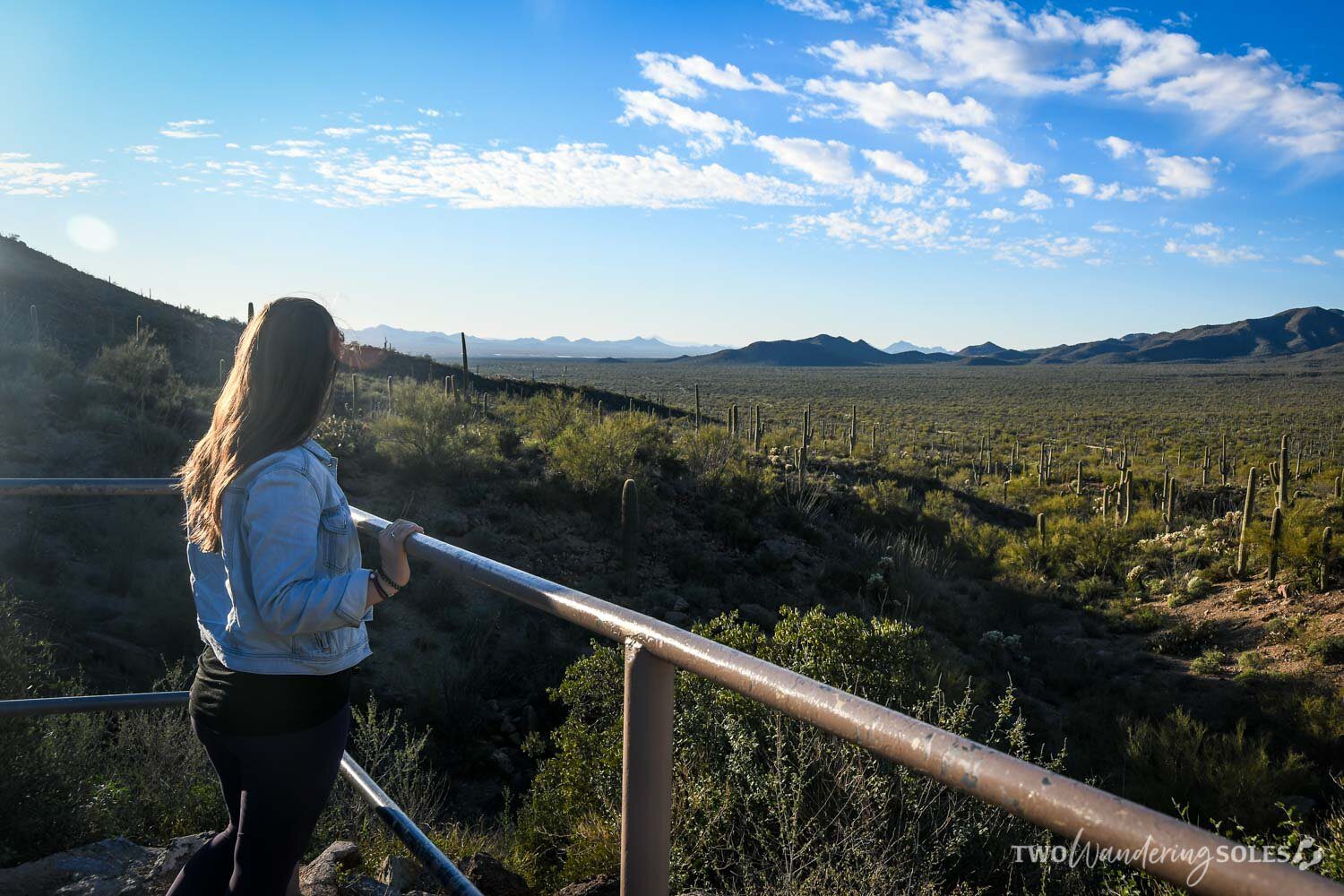 Things to do in Tucson Gates Pass Viewpoint