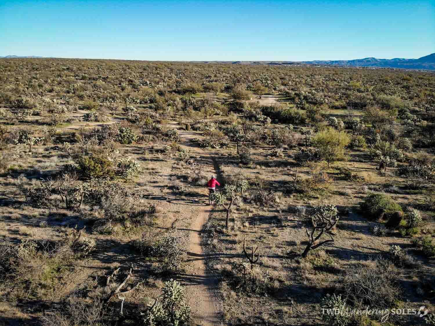 Things to do in Tucson Mountain Biking