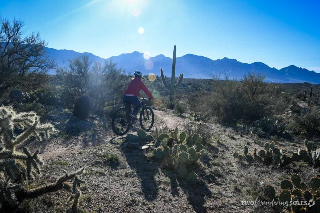 Things to Do in Tucson Mountain Biking