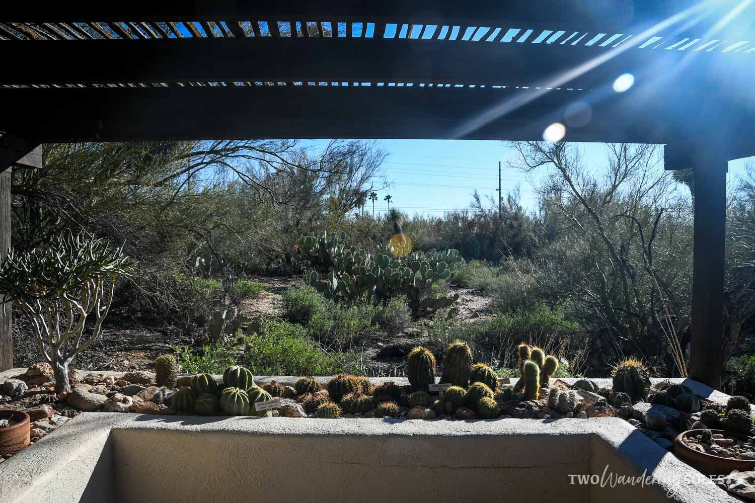 Things to do in Tucson Tohono Chul Gardens