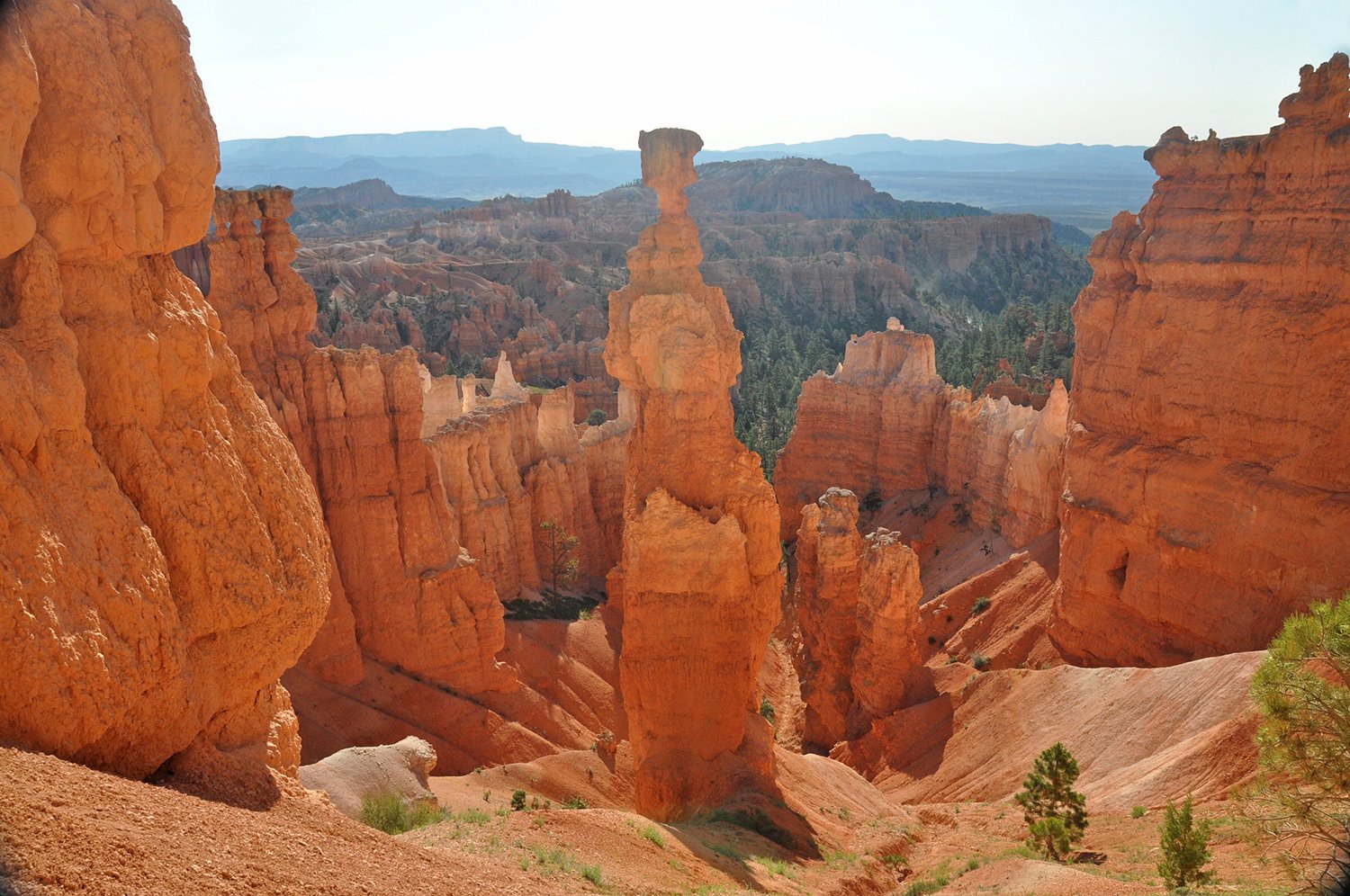Thor's Hammer Bryce Canyon National Park