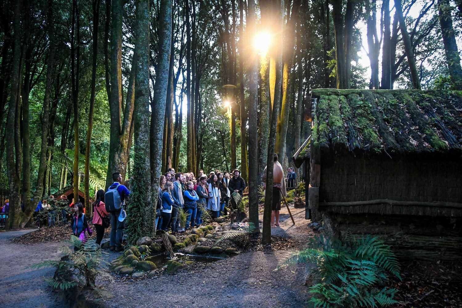 Top Things to Do in New Zealand Tamaki Maori Village