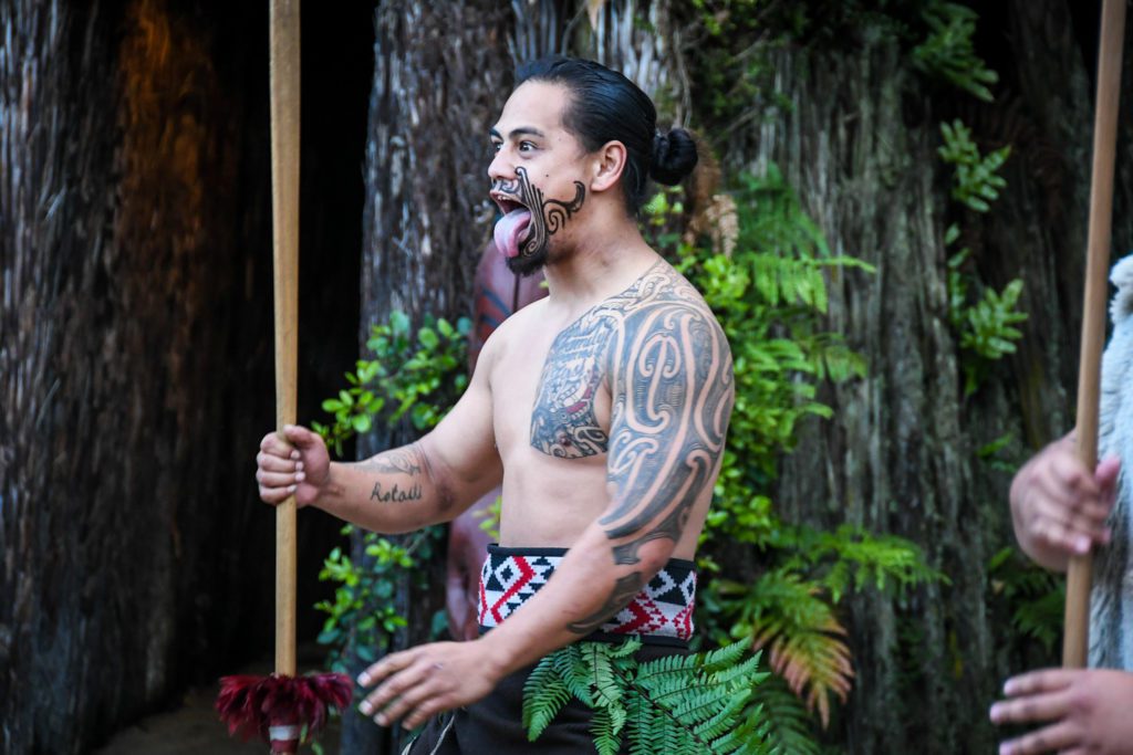 Top+Things+to+Do+in+New+Zealand+Tamaki+Maori+Village+Haka