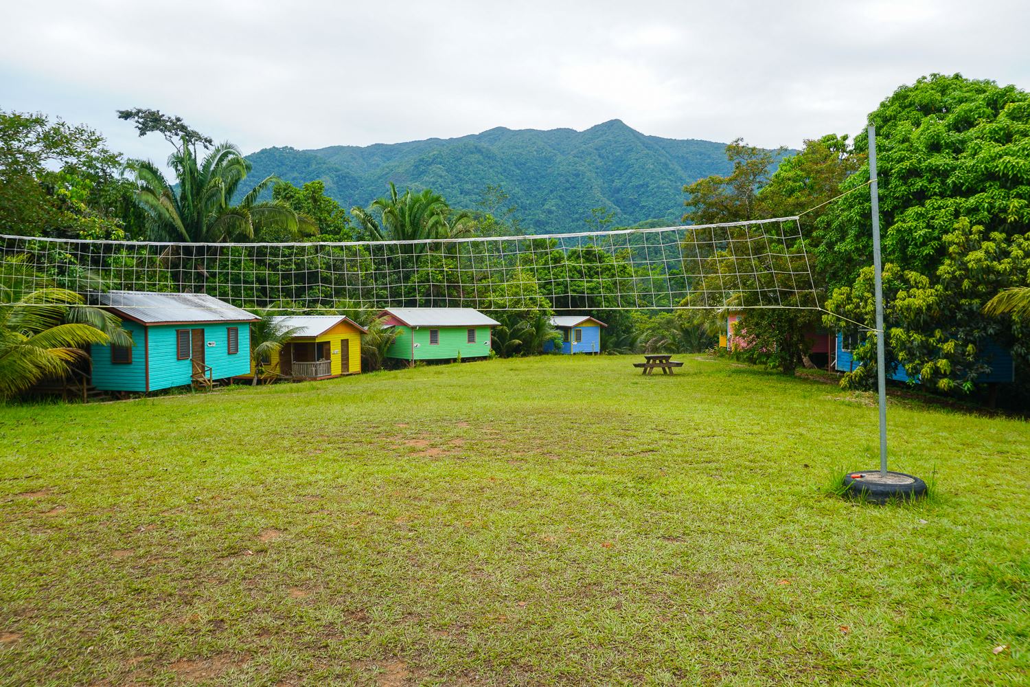 Toucan Ridge Ecology & Education Society (T.R.E.E.S.)