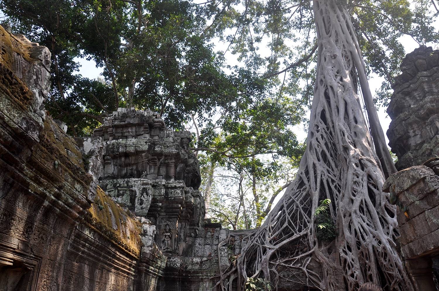 Two Weeks in Cambodia Itinerary Angkor Wat Temples