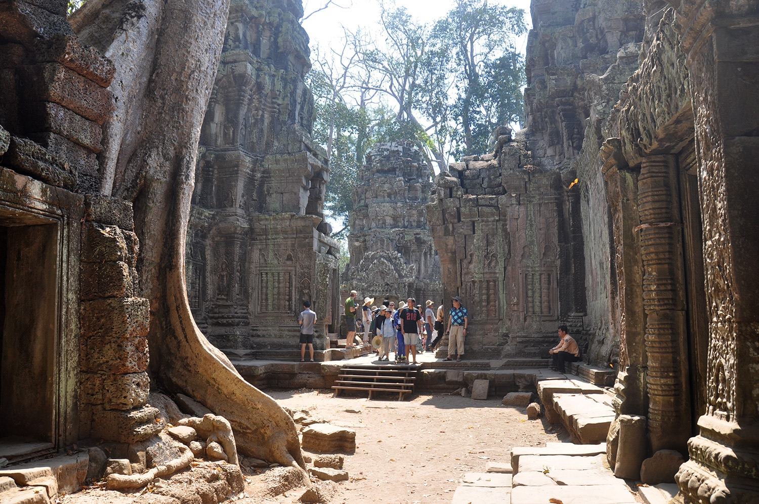 Two Weeks in Cambodia Itinerary Angkor Wat Temples Ta Phrom