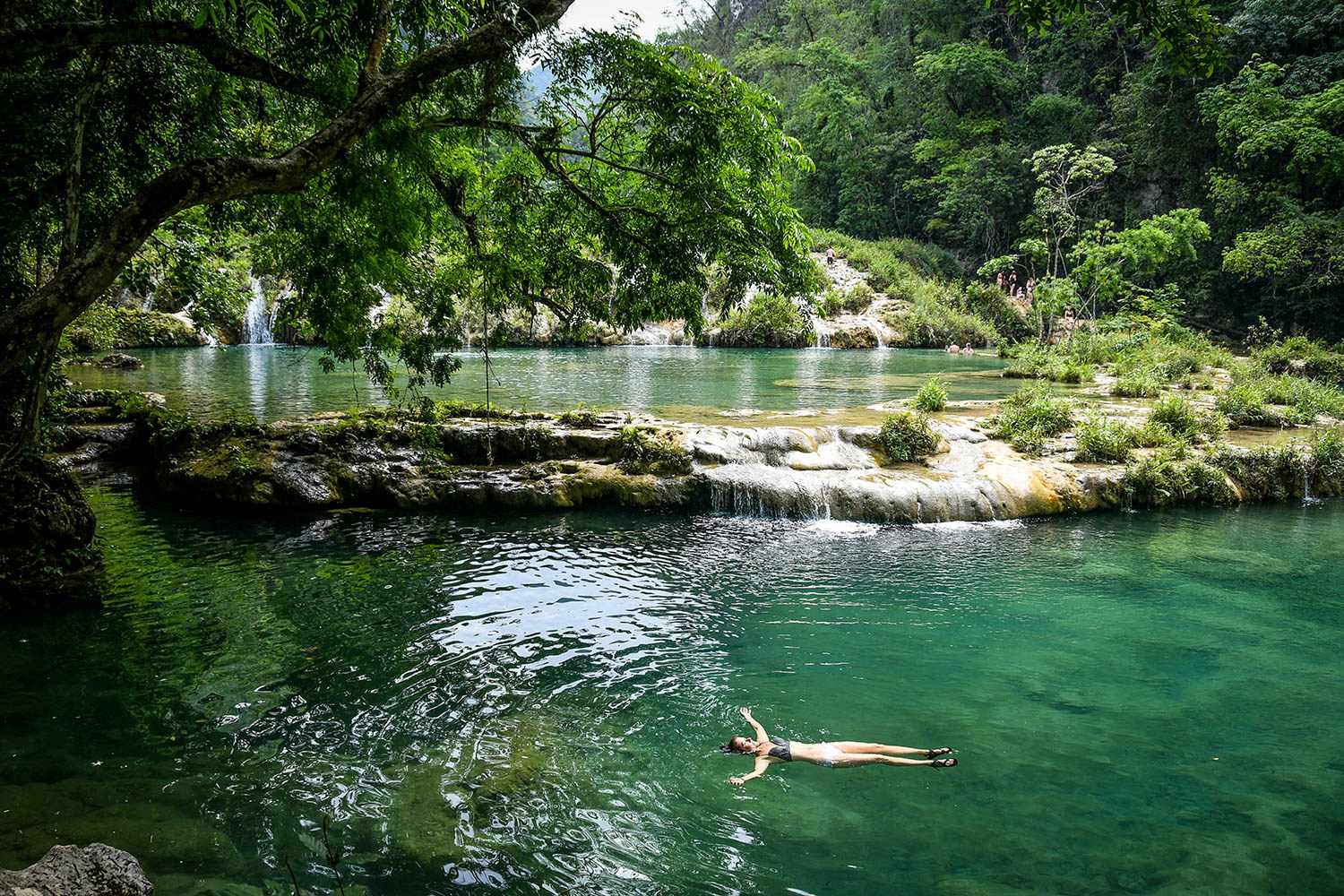 Ultimate Guide to Semuc Champey Waterfall Pools Floating