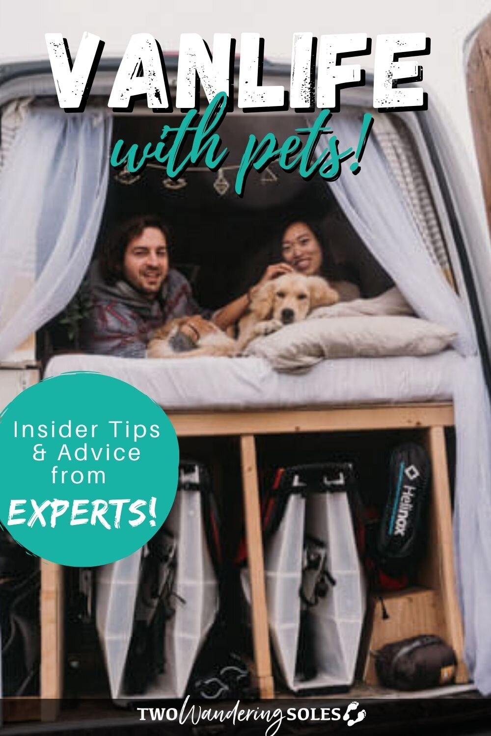 Vanlife with Pets: Insider Tips and Advice | Two Wandering Soles