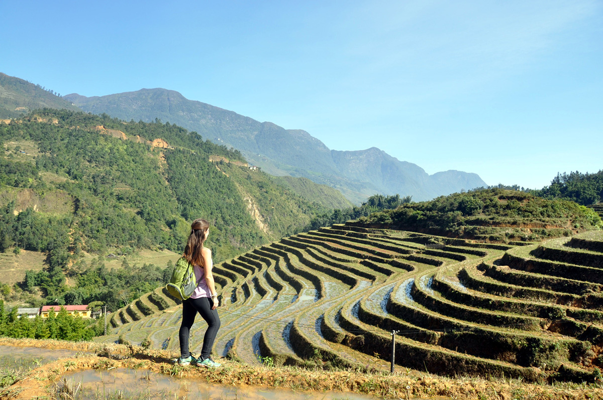 Vietnam Itinerary Sapa Rice Terraces