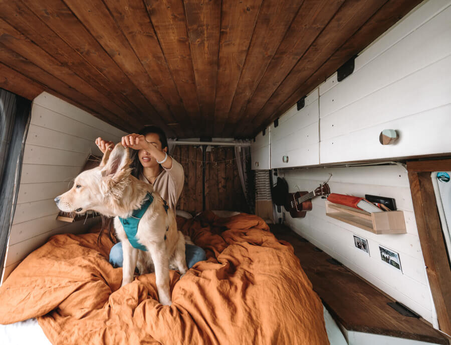 Vanlife with Dogs: Maggie & Kodak