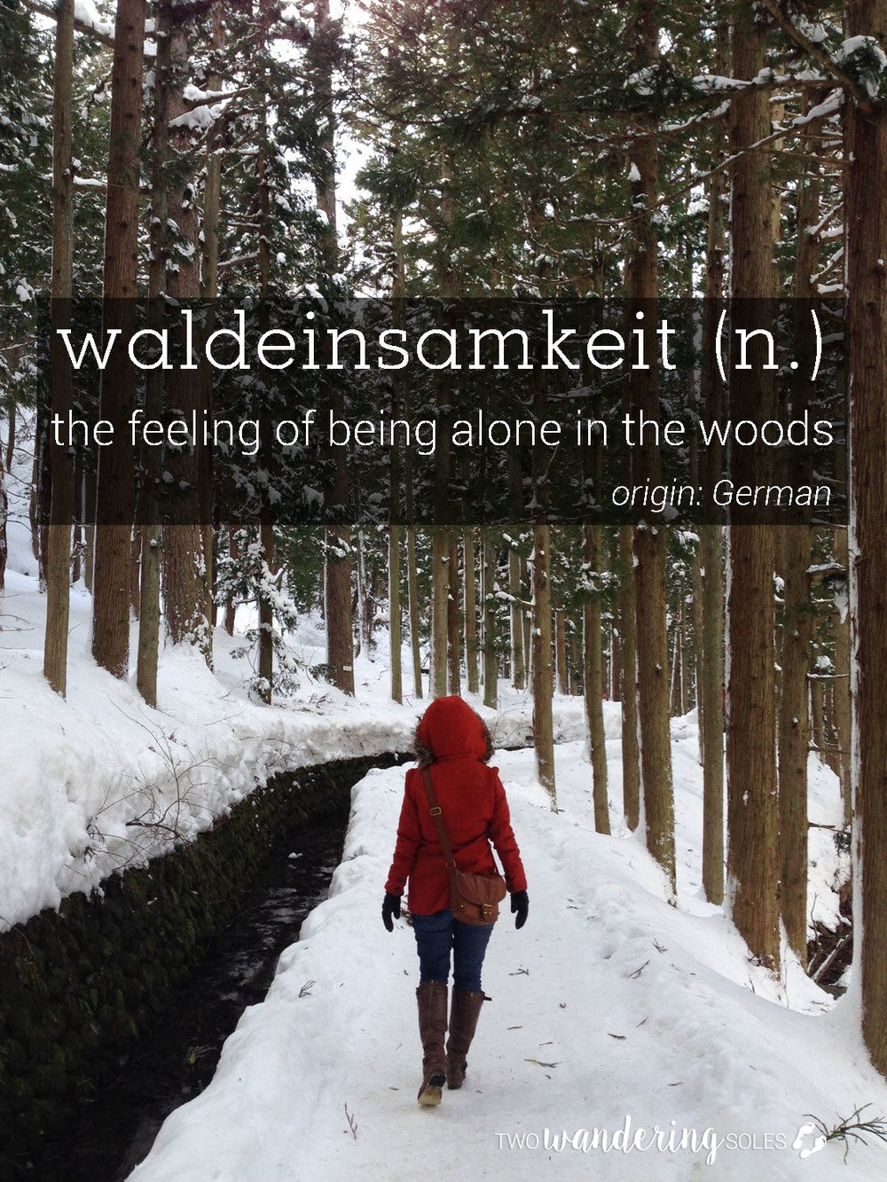 Waldeinsamkeit Awesome Travel Words