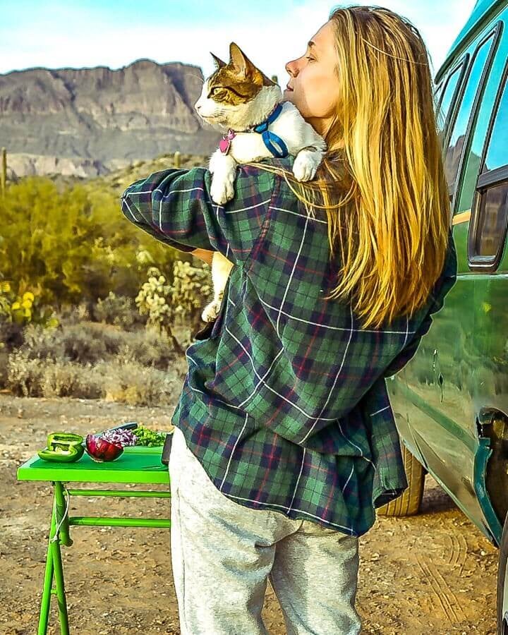 Vanlife with Cats: Hilary & Ernie