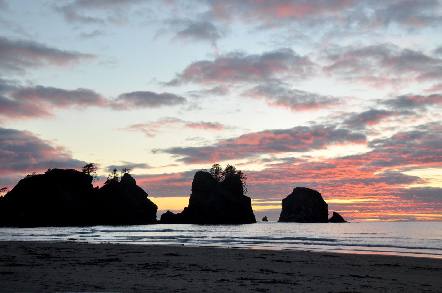 Shi Shi Beach Olympic Peninsula