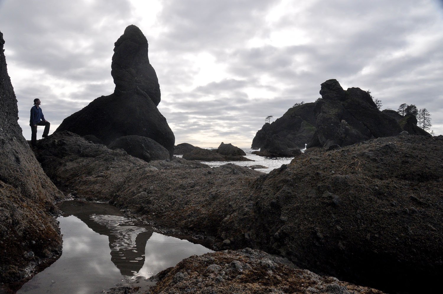 Shi Shi Beach Olympic Peninsula