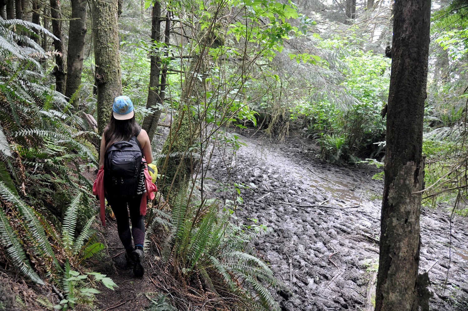 Camping on Shi Shi Beach Olympic Peninsula