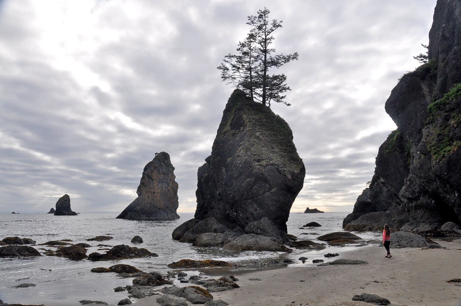 Shi Shi Beach Olympic Peninsula