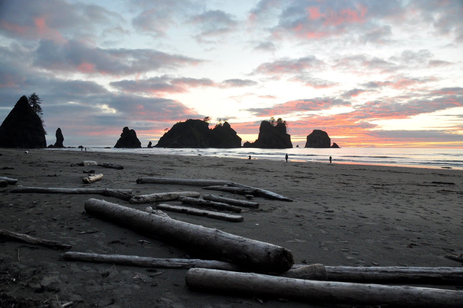 Shi Shi Beach Olympic Peninsula