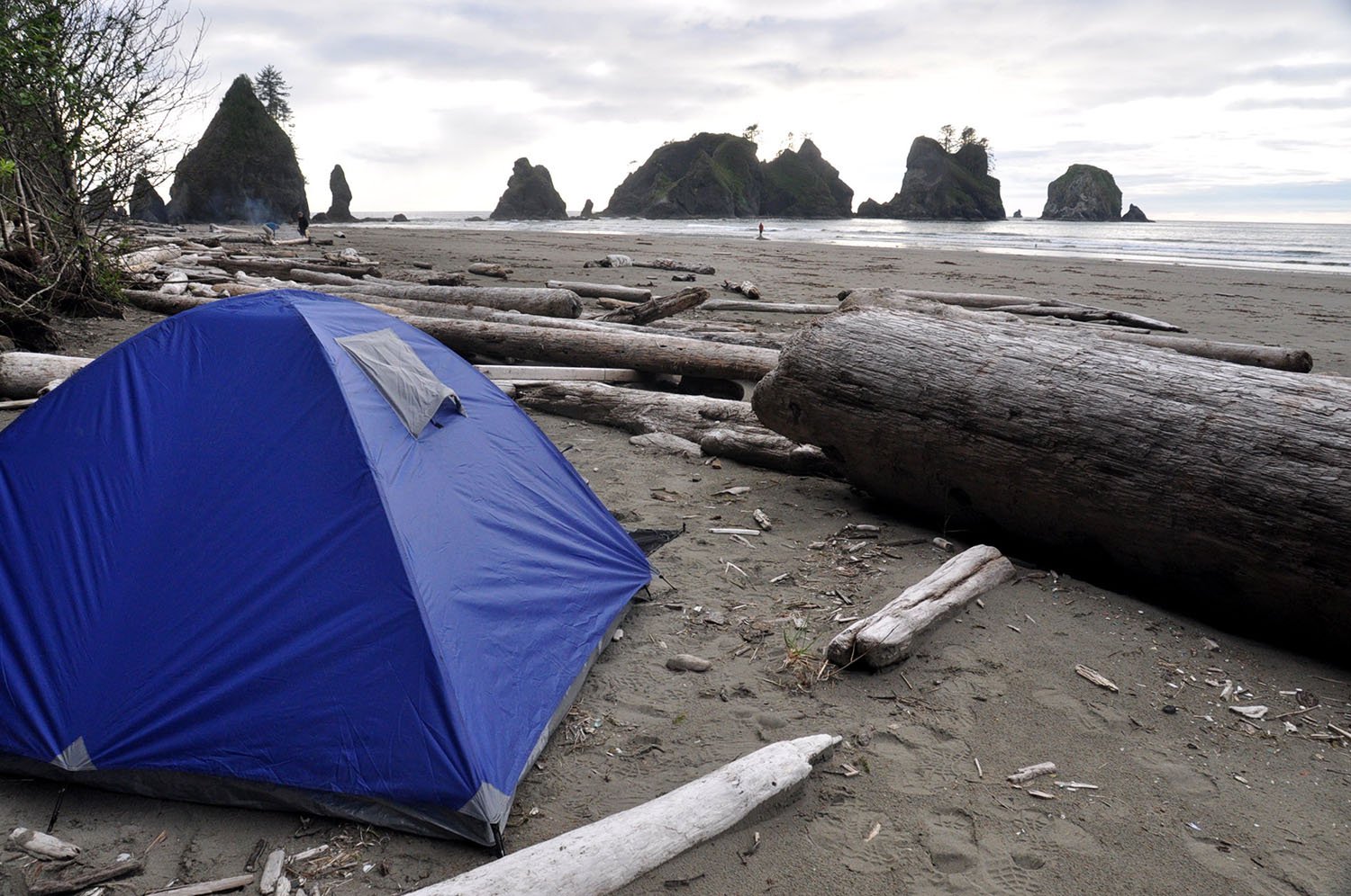 Camping on Shi Shi Beach Olympic Peninsula