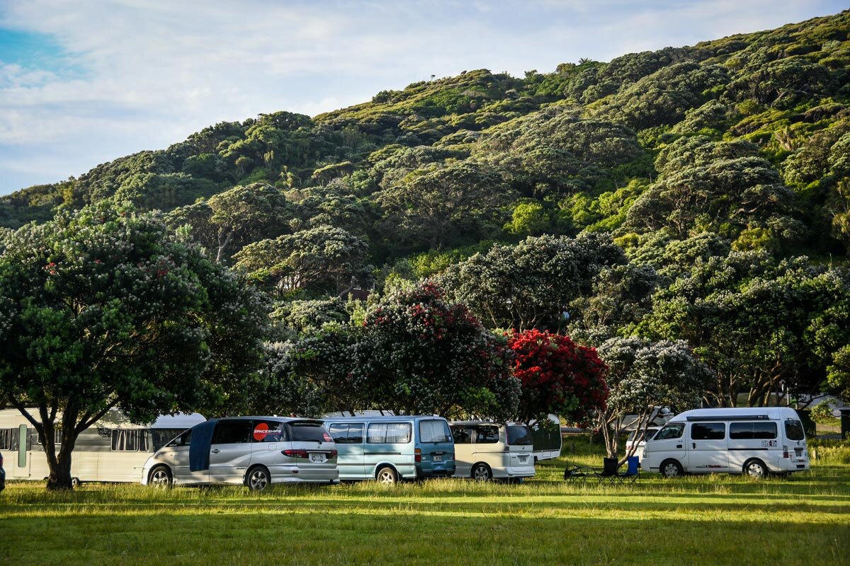 New Zealand Campsites: Piha Domain Motor Park
