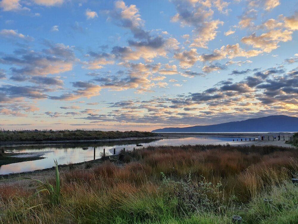 New Zealand Campsites: Waikanae Beach | Image by Jub