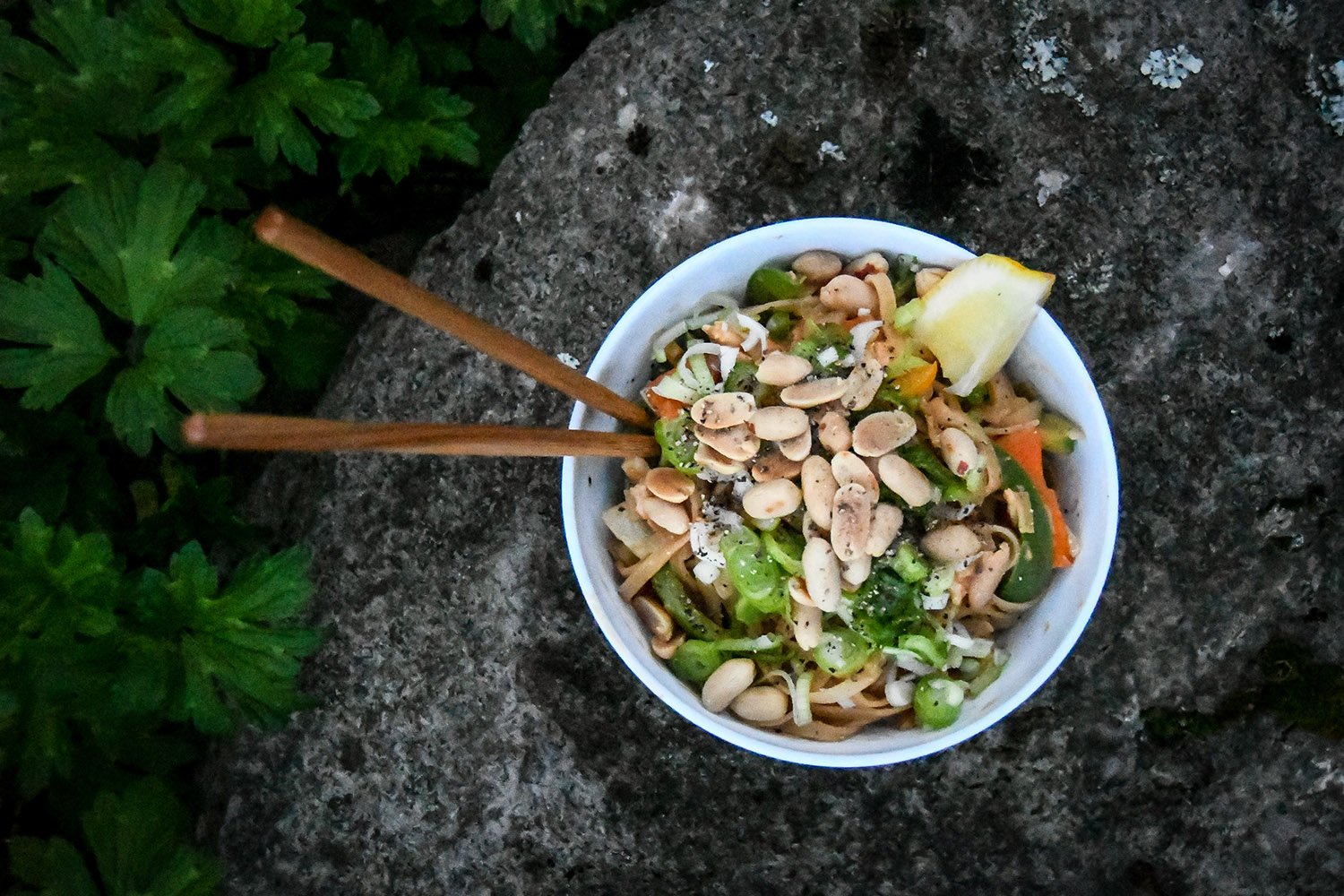 Healthy Camping Food: Camp "Pad Thai"