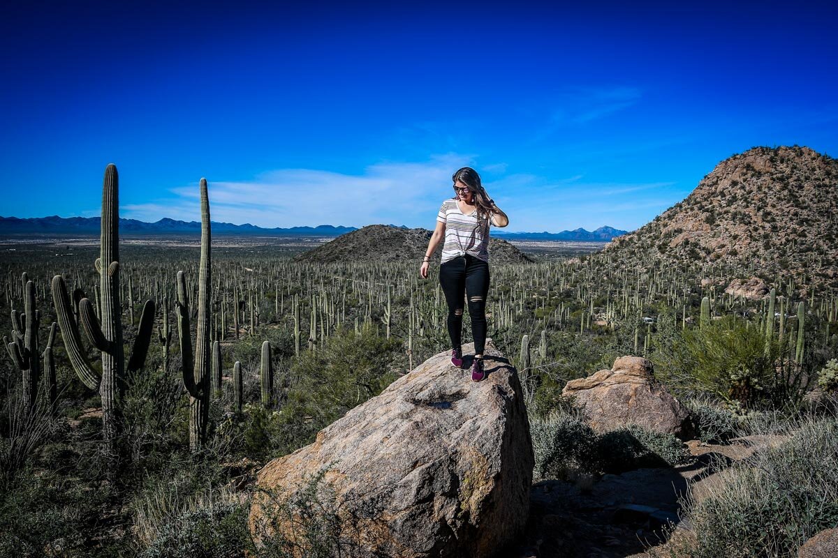 Saguaro National Park | Tucson, Arizona