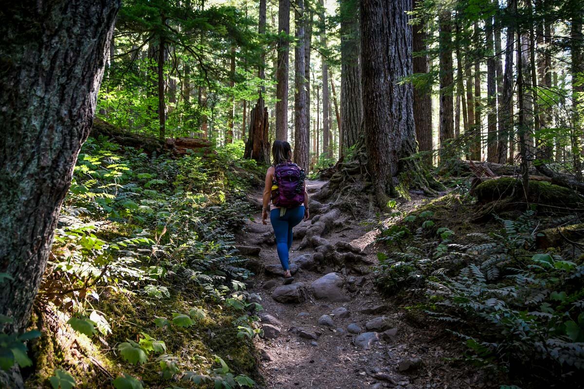 Hiking in the PNW