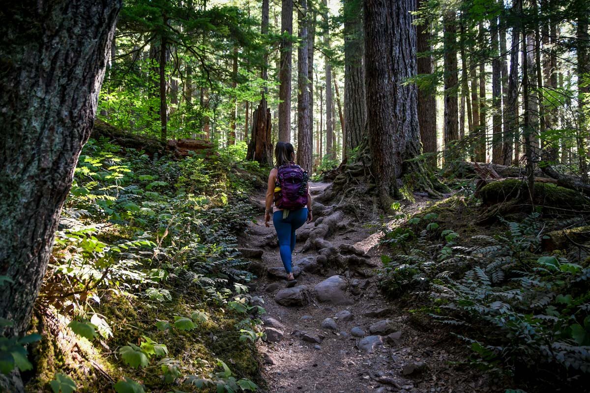 Hiking in the PNW