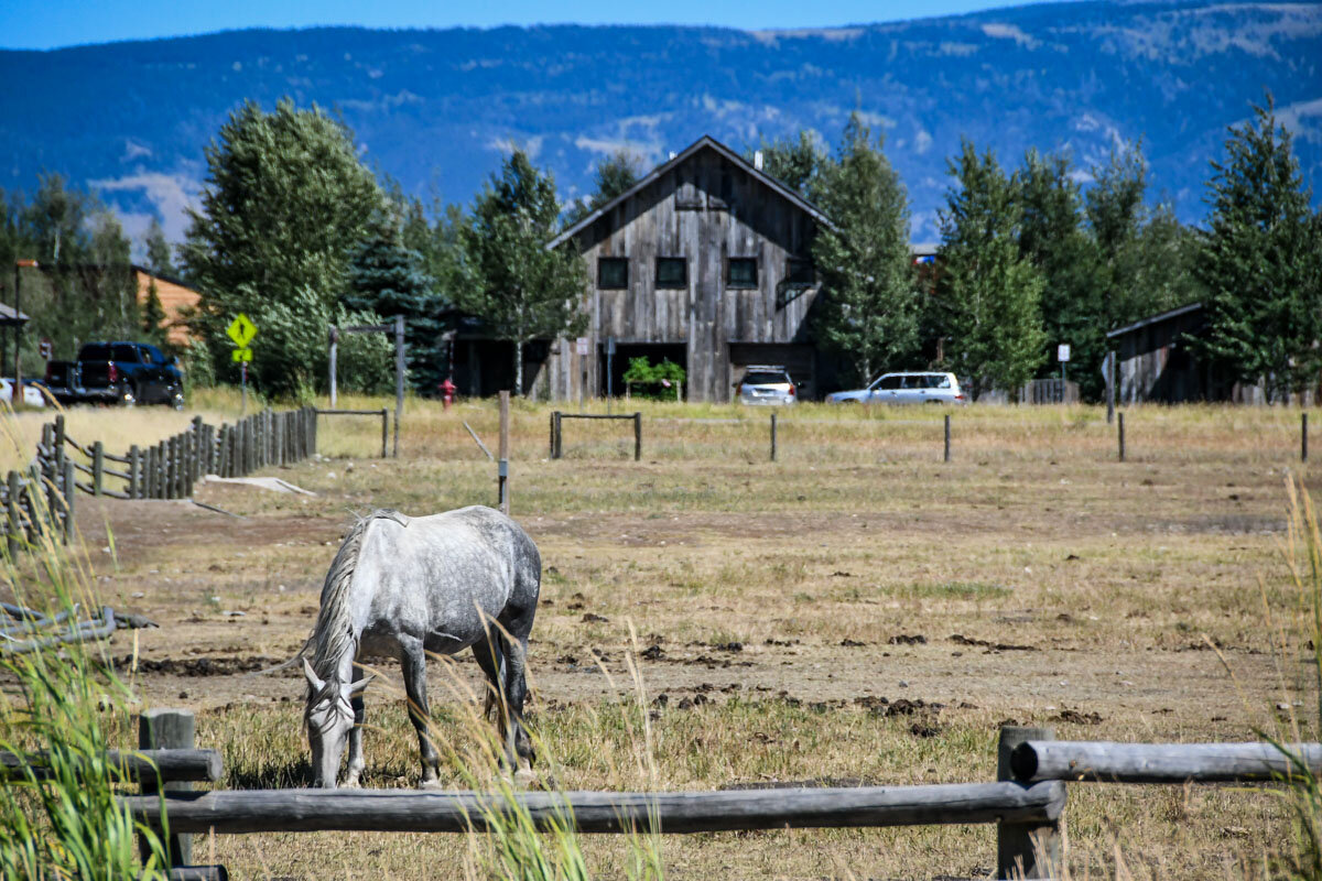 Horseback riding is one of the best things to do in Grand Teton National Park