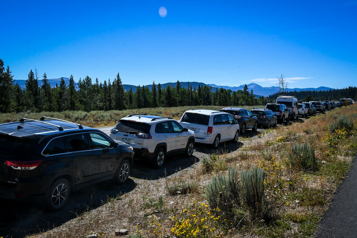 Here’s an example of how busy the trails can get! In this case, we had to park nearly a half mile from the trailhead since we arrived in the afternoon when it was already quite crowded.