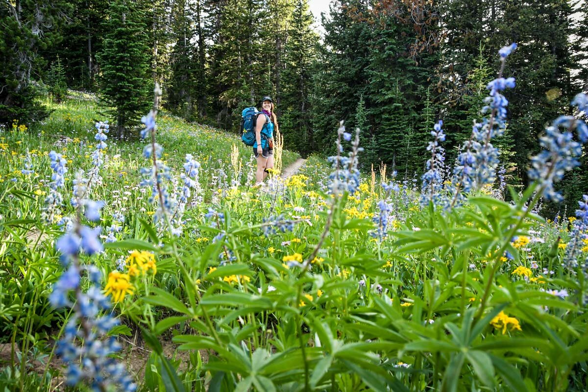 Other places to visit in Wyoming