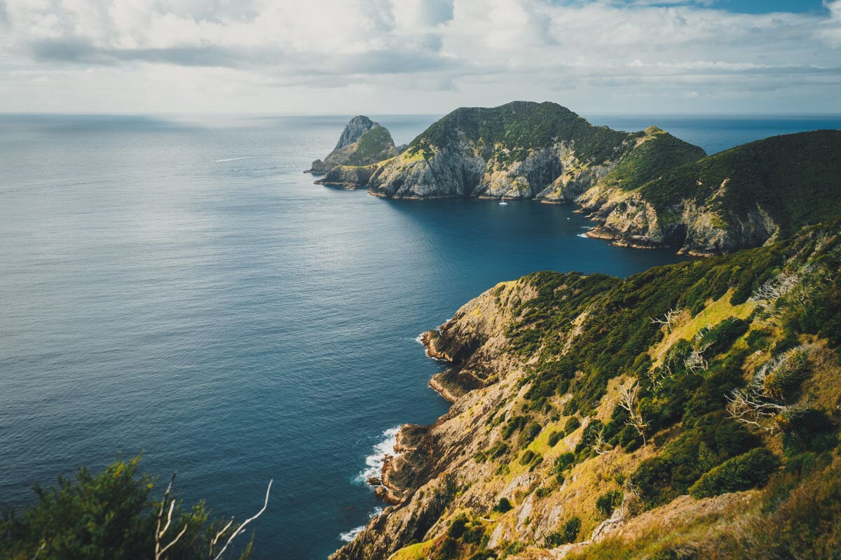 Best New Zealand Hikes: Cape Brett (North Island), photo credit: Codie Westphall