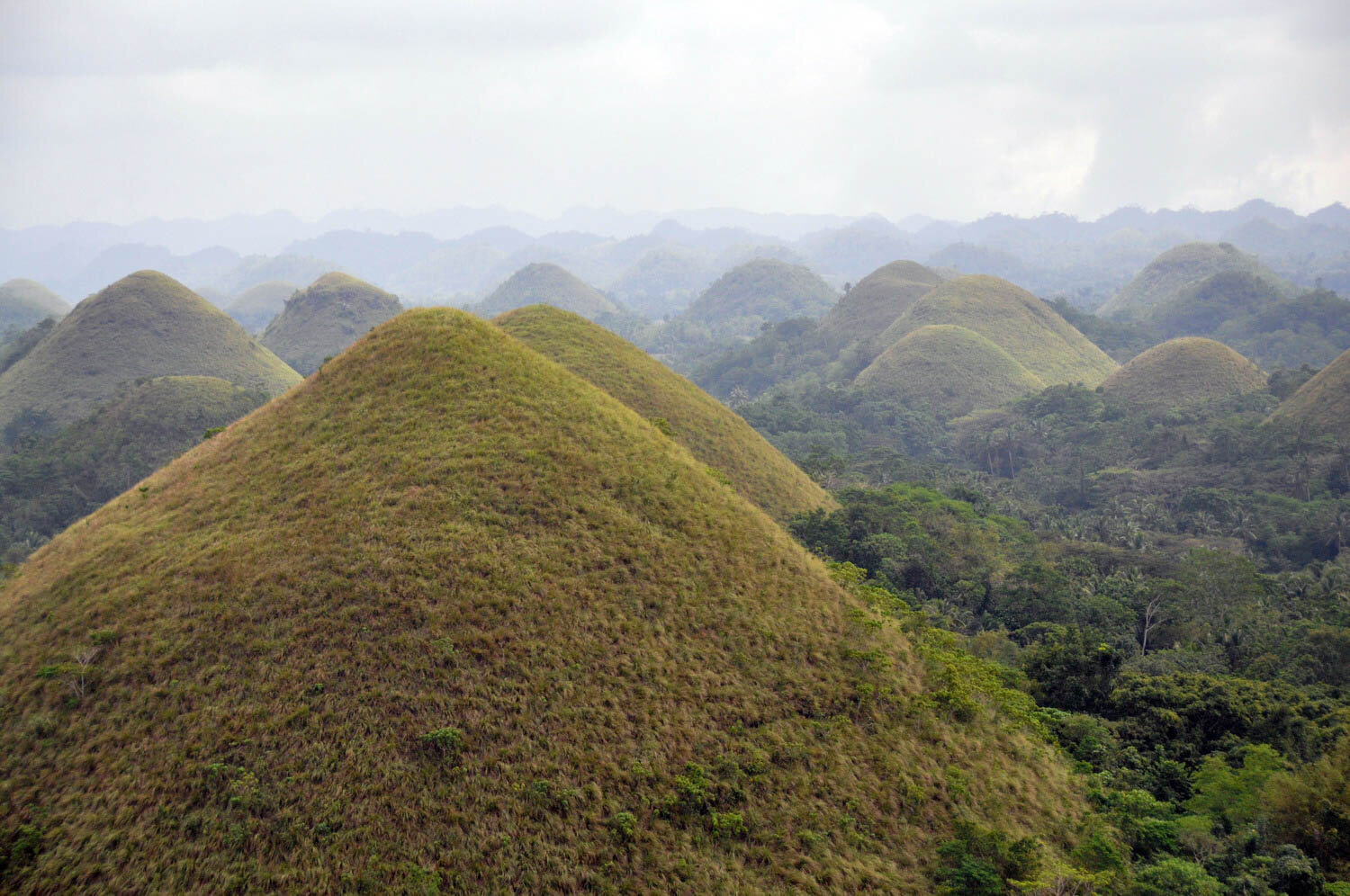 Best Time to Visit the Philippines | Chocolate Hills in the Bohol province