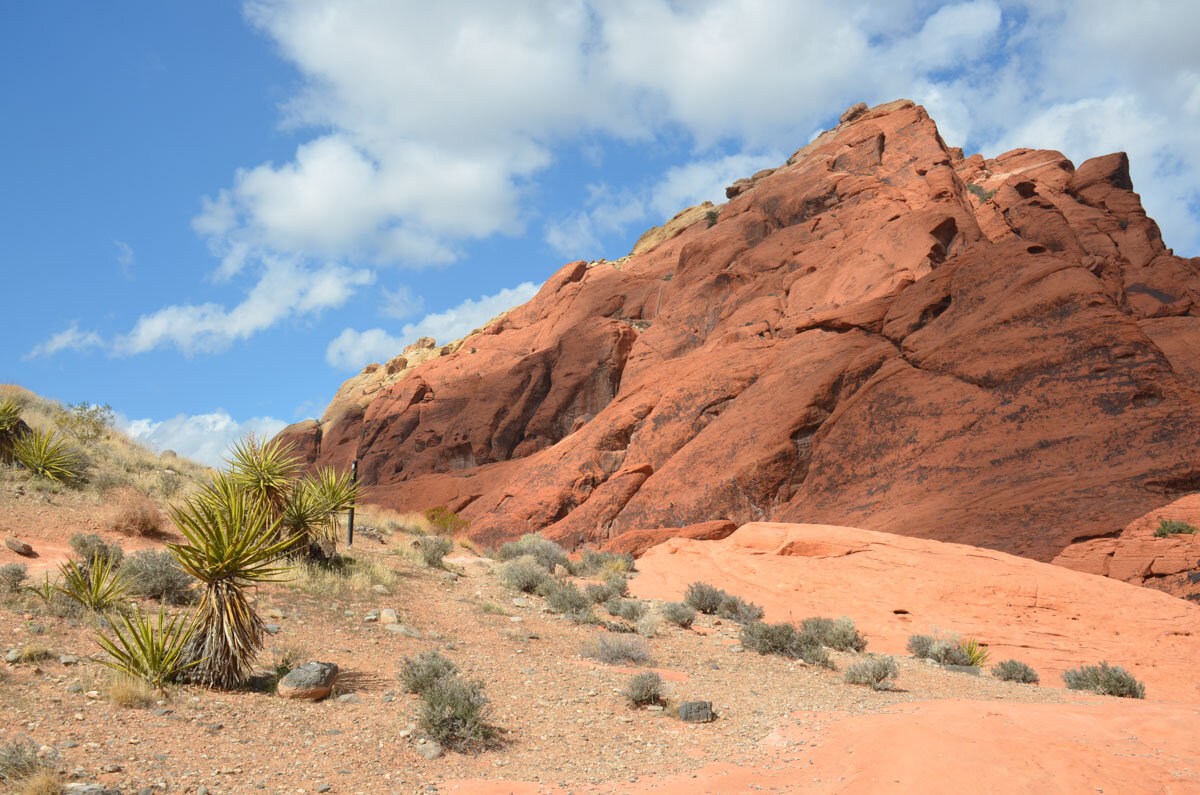 Hiking Las Vegas | Red Rock Canyon