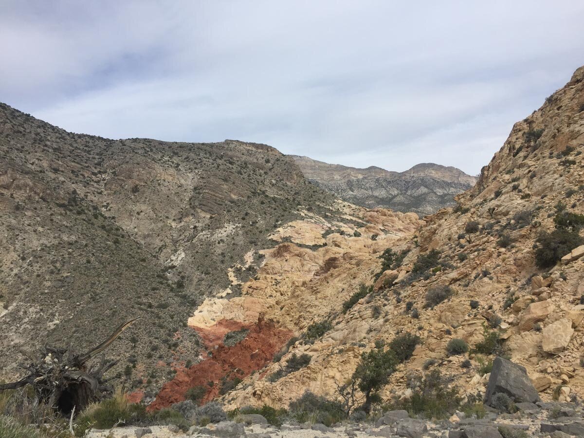 Red Rock Canyon hikes