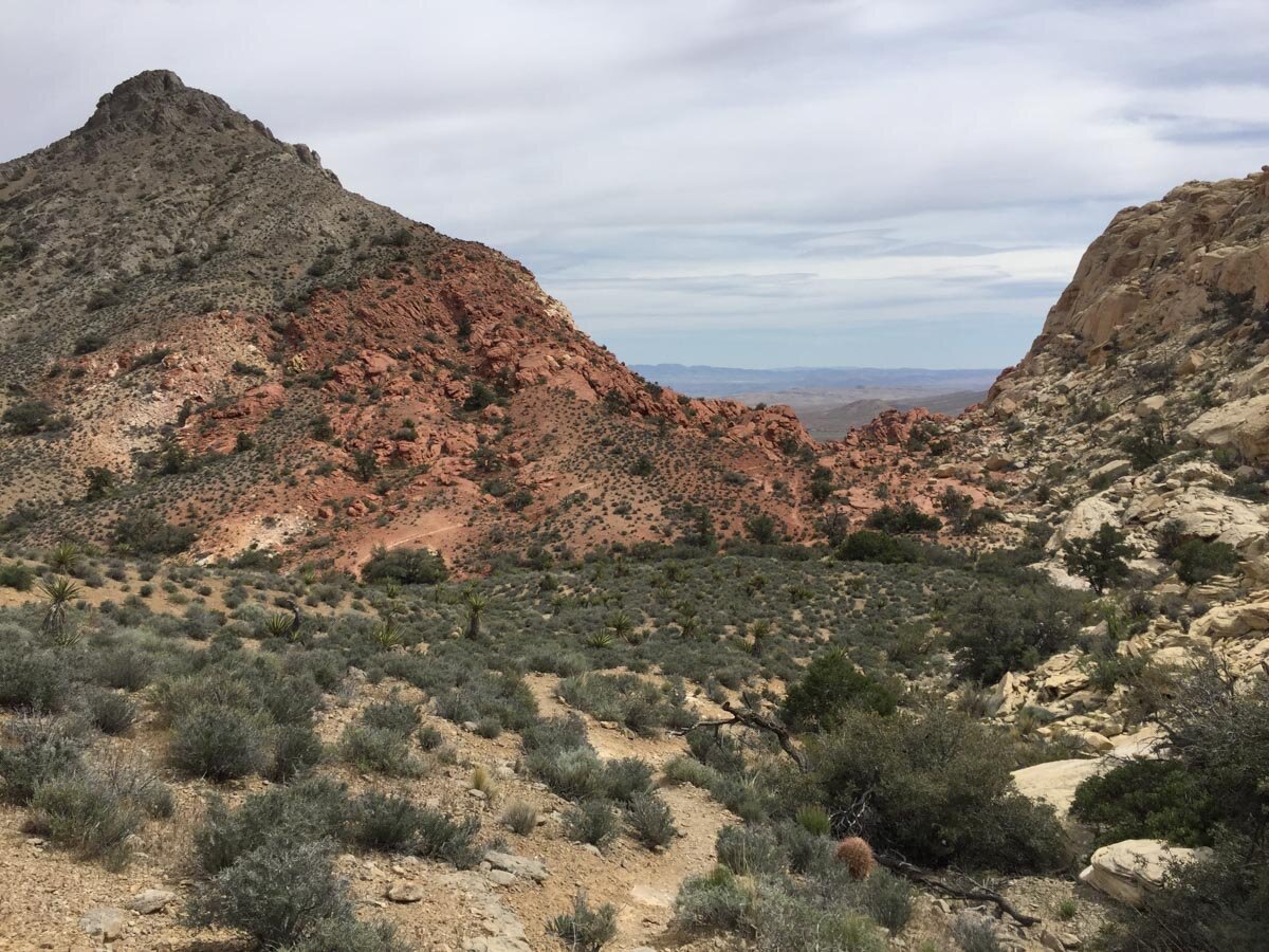 Red Rock Canyon Hikes | Turtlehead Peak Trail