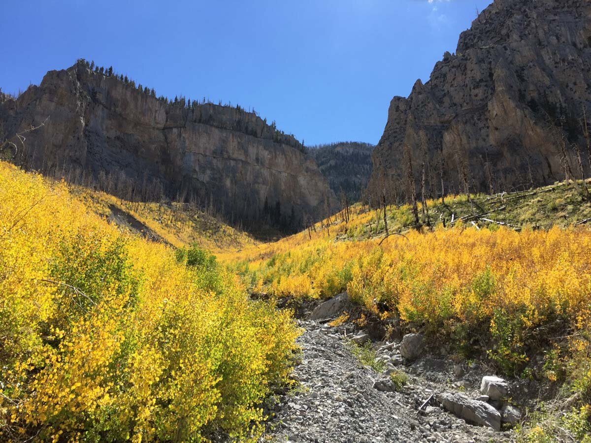 Spring Mountains | Mount Charleston Hike