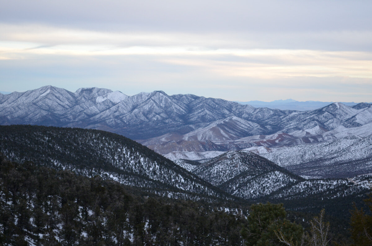 Spring Mountains | Hiking Mount Charleston Nevada