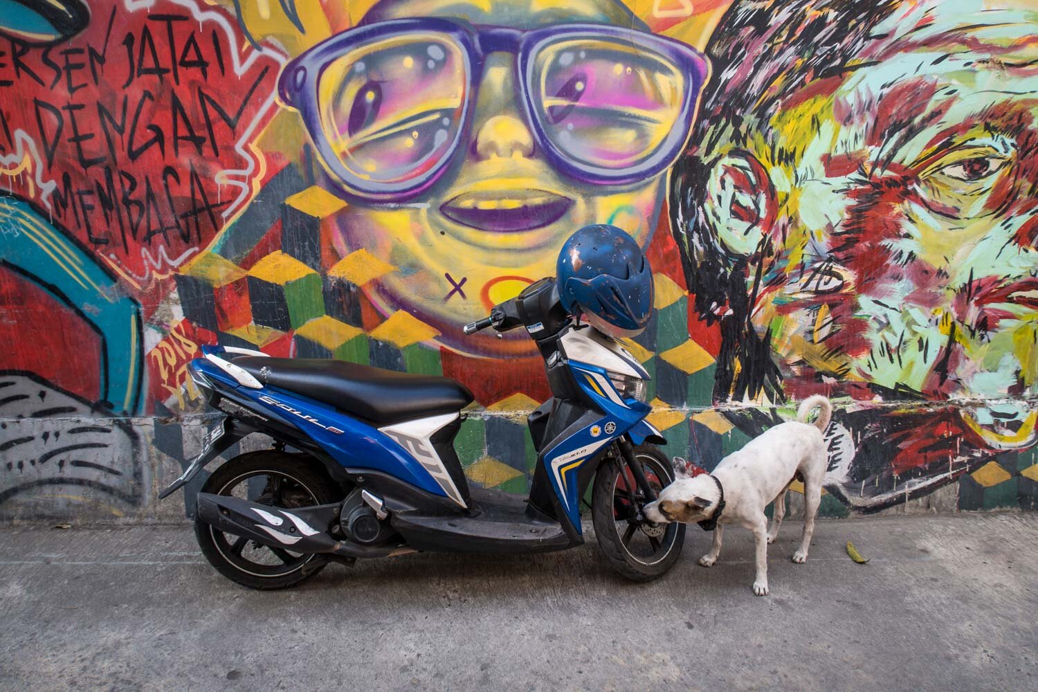 Motorbike in Yogyakarta and dog
