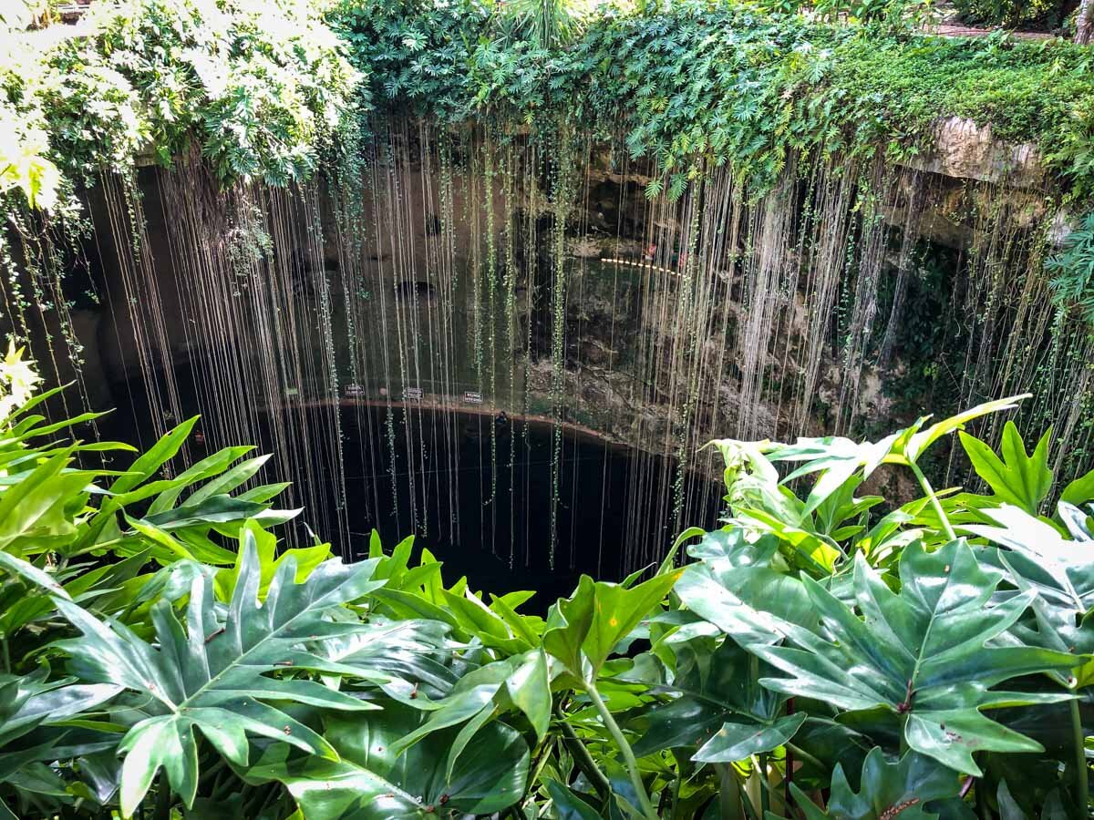 Things to Do in Merida, Mexico | Cenote Ik Kil