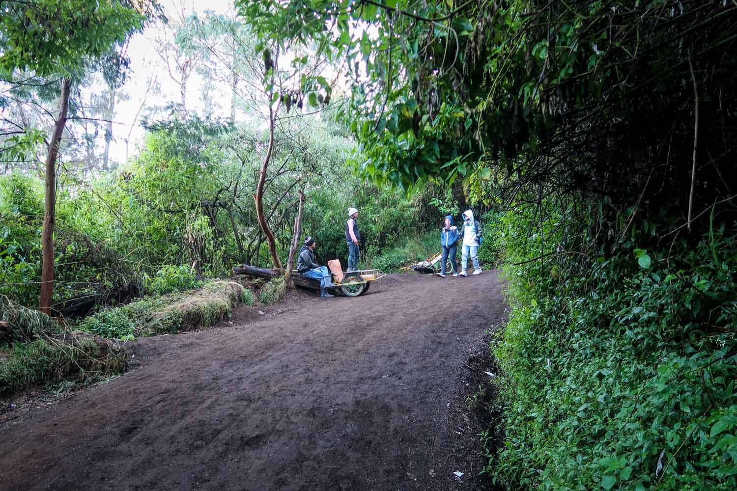 Ijen Crater Sunrise Hike Steep