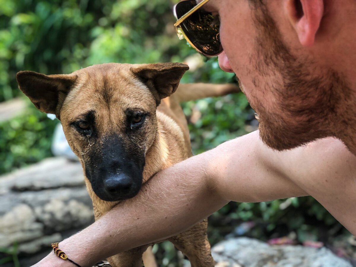 Bamboo Rafting in Chiang Mai Puppy Dof