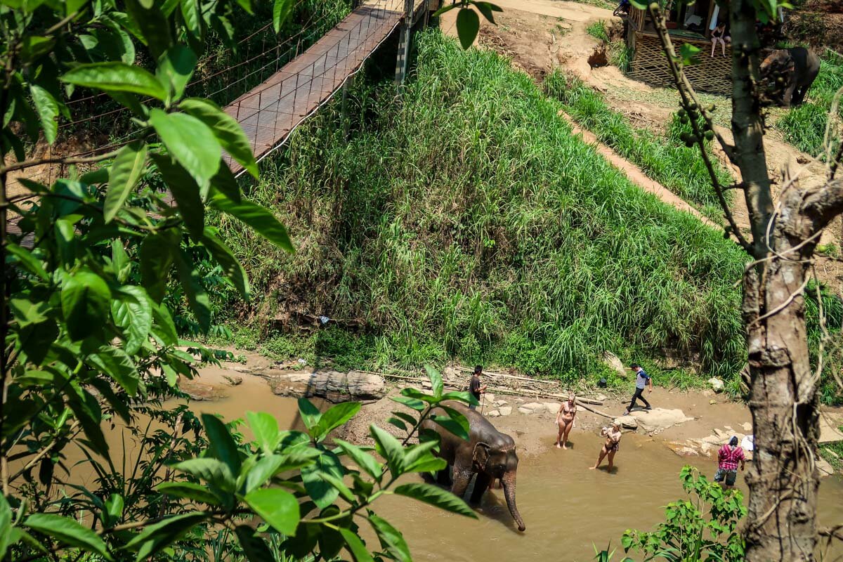 Bamboo Rafting in Chiang Mai | Elephant camps on the rivier