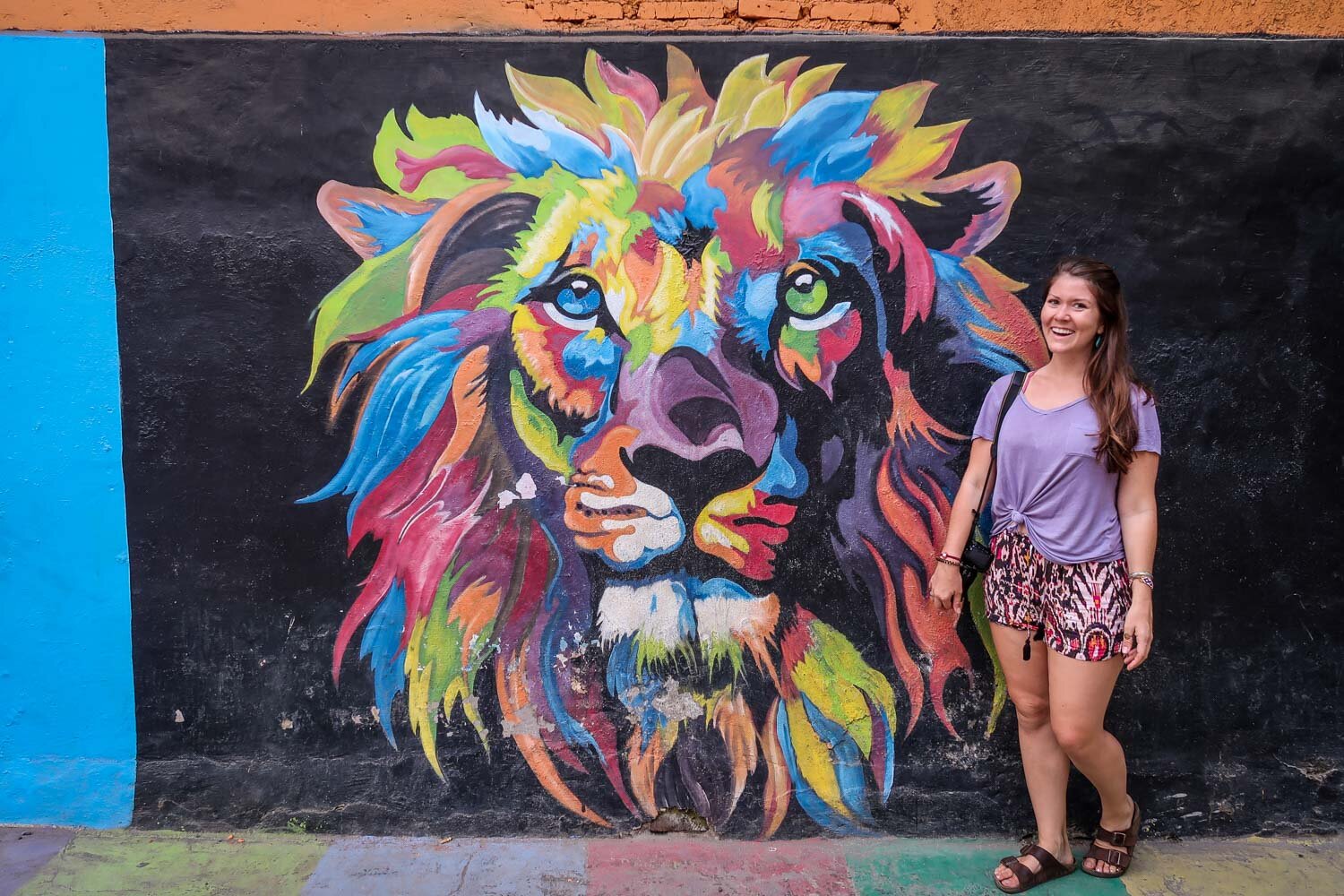 Lion Mural Locals Jodipan Kampung Warna Warni Malang Rainbow Village