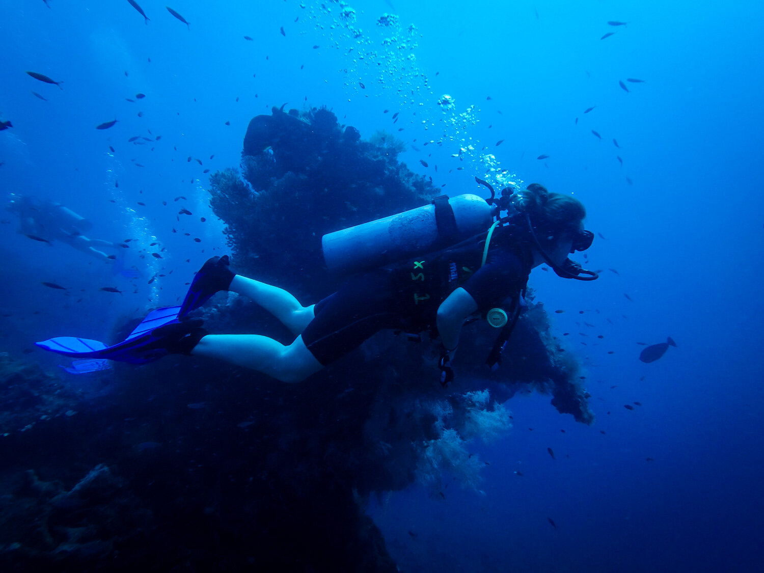 Amed Bali Plongée Sous-marine USAT Liberty Plongée sur Épave