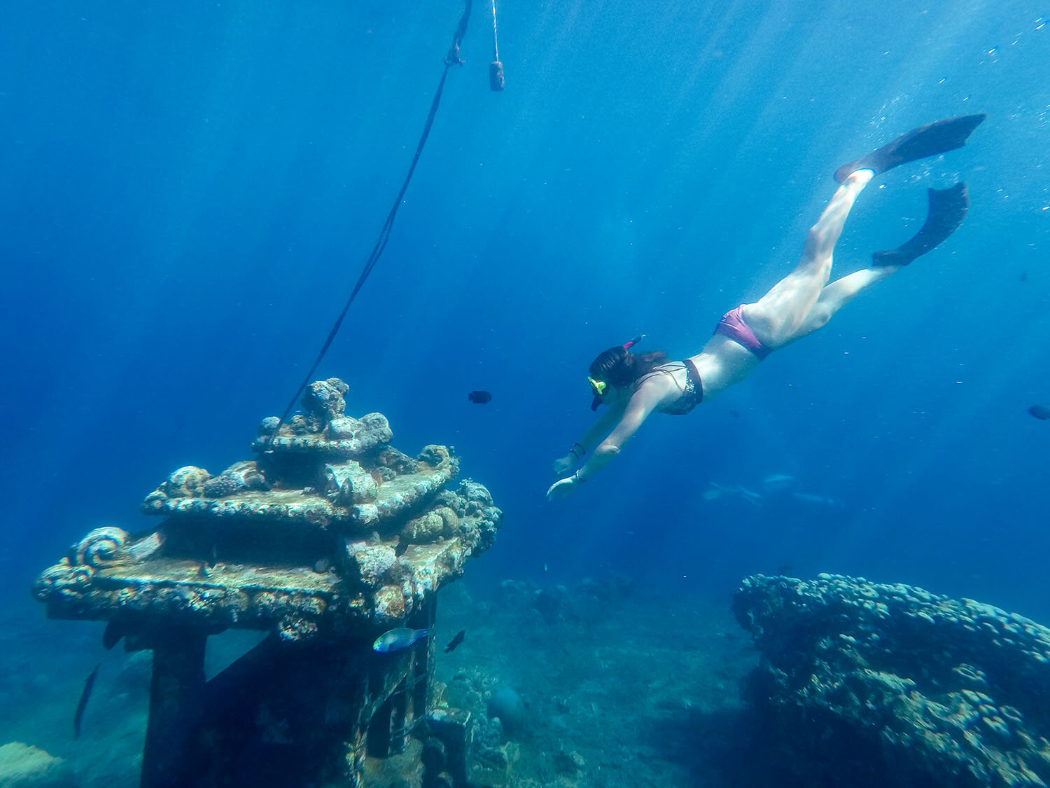 Amed Bali Snorkel at Jemeluk Bay Pantai Jemeluk